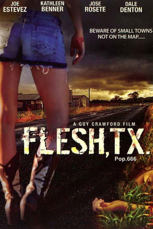 Flesh, TX (2009) poster