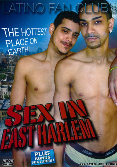 Sex In East Harlem (2011) poster