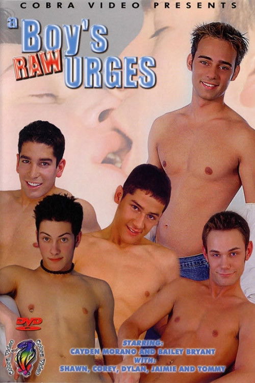 A Boy's Raw Urges (2004) poster