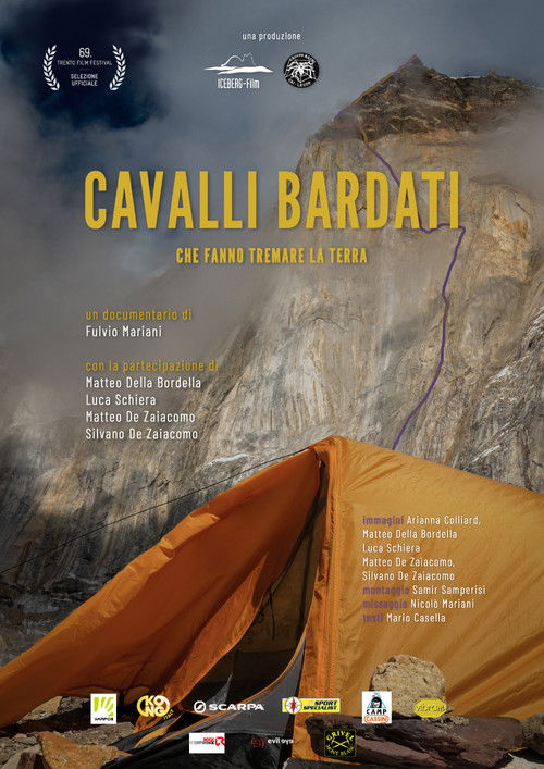 Cavalli bardati (2021) poster