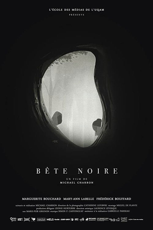 Bête noire (2017) poster