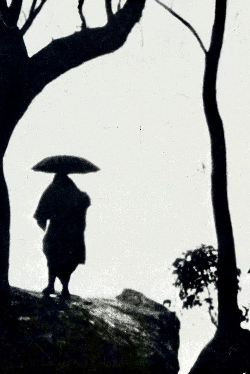 Corpse (1982) poster