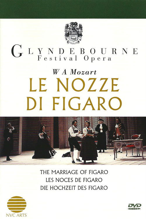 Le nozze di Figaro (1994) poster