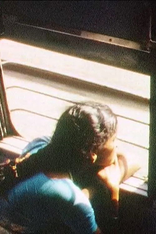 The Indian Journey (2011) poster