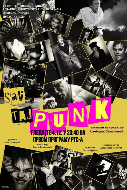 All That Punk (2023) poster
