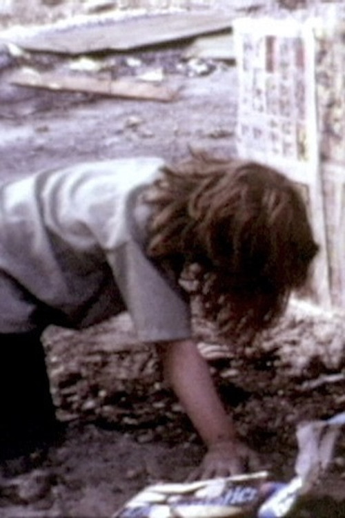 Fire Child (1971) poster