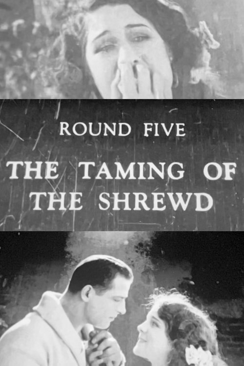 The Taming of the Shrewd (1922) poster