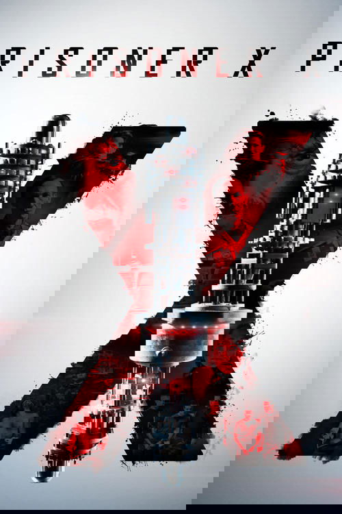 Prisoner X (2016) poster
