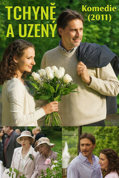 Tchyně a uzený (2011) poster