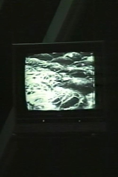 d/stabilize/d (1987) poster