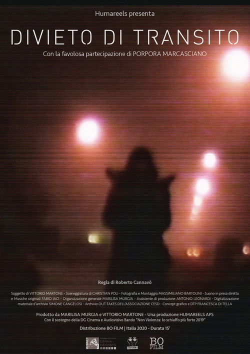 Forbidden Transit (2020) poster