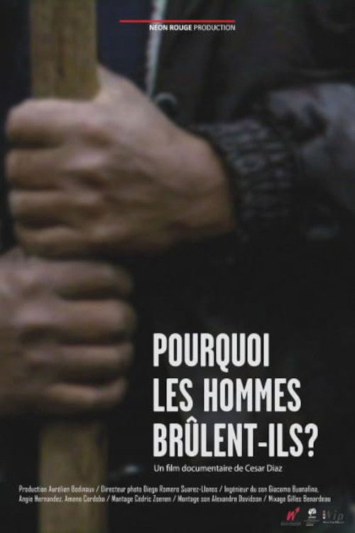 Pourquoi les hommes brûlent-ils? (2010) poster