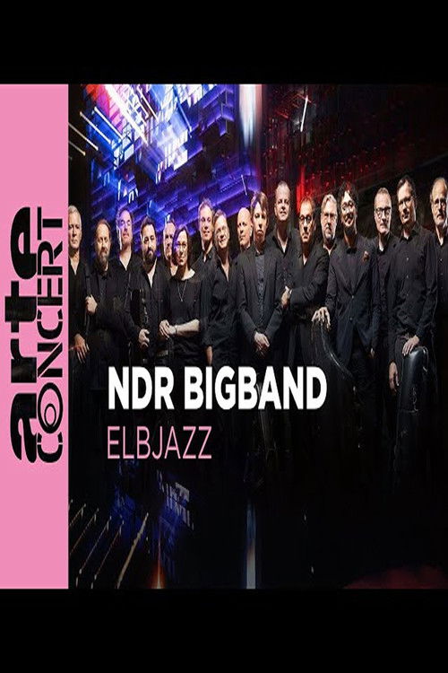 NDR Bigband feat. Lenine & Martin Fondse: The Bridge Elbjazz Festival 2024 (2024) poster