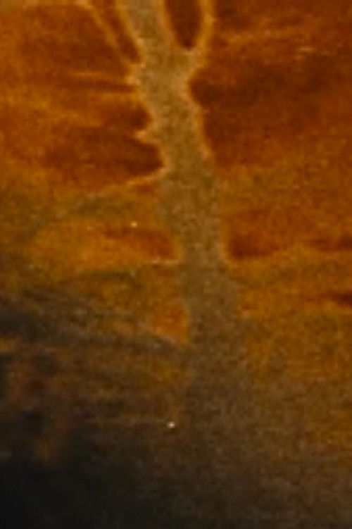 The Devastated Land (2015) poster