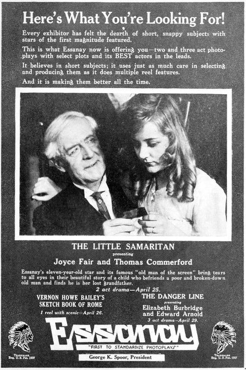 The Little Samaritan (1916) poster
