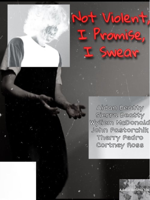 Not Violent, I Promise, I Swear (2021) poster
