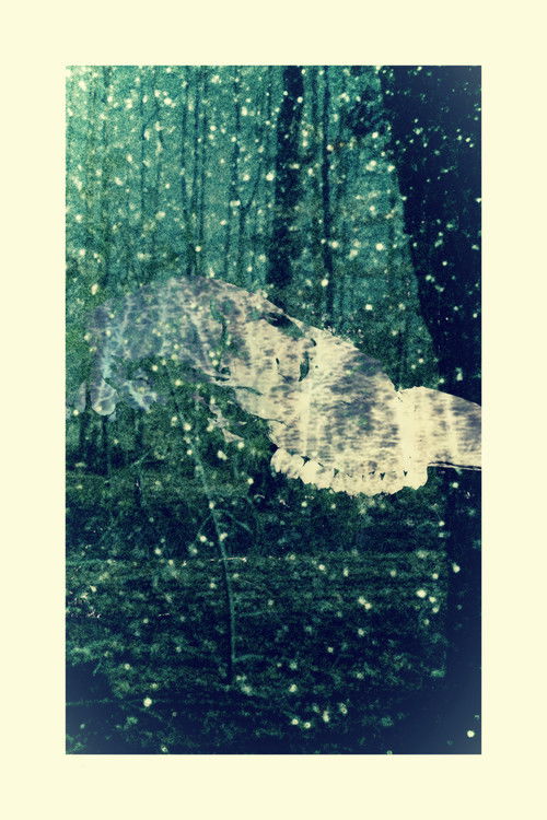 Falling Star (2025) poster