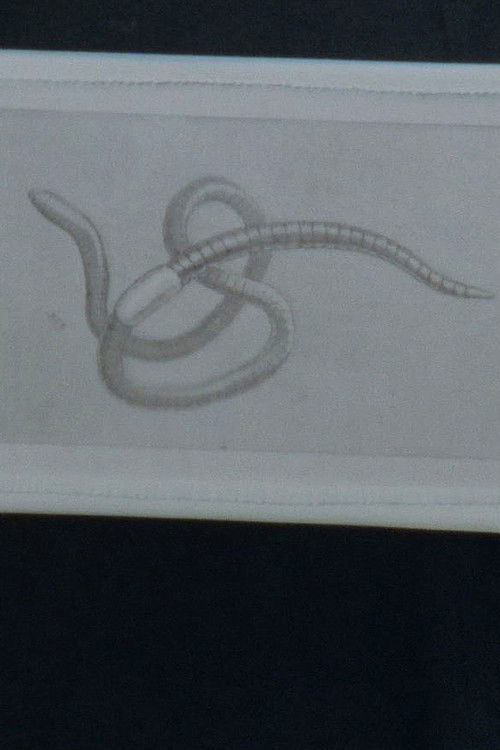 Tutto qui (2022) poster