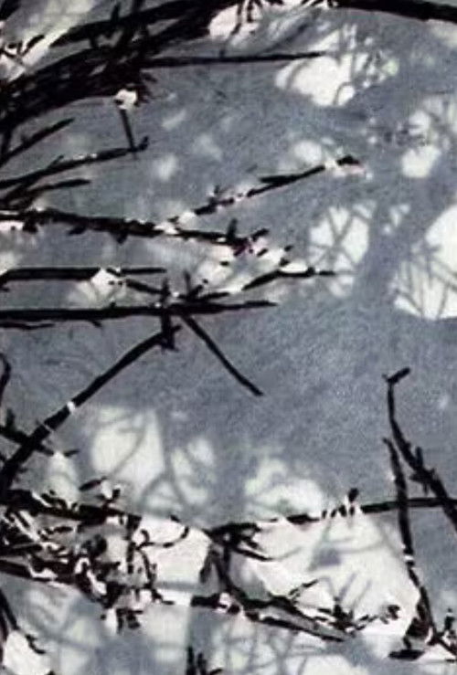 Variations sur Marilou (2007) poster