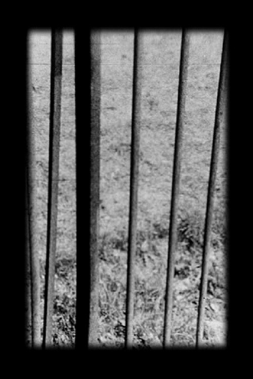 Railings (1977) poster