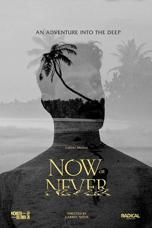 Now or Never (2024) poster