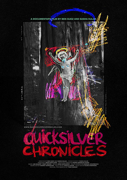 Quicksilver Chronicles (2019) poster