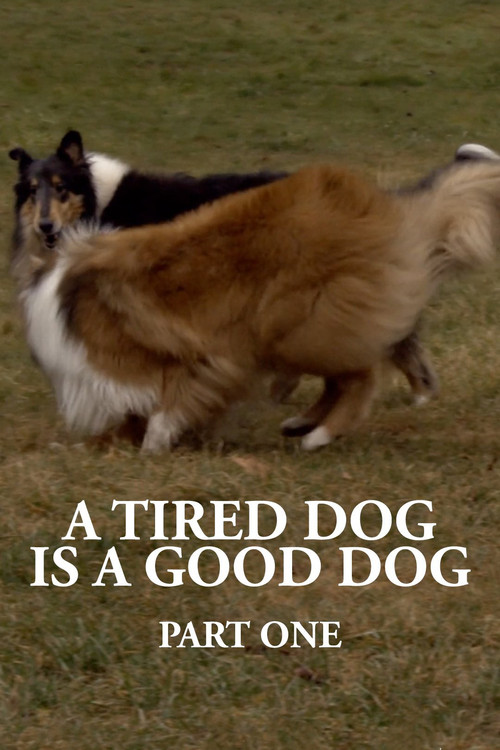 A Tired Dog is a Good Dog, Part One (2022) poster