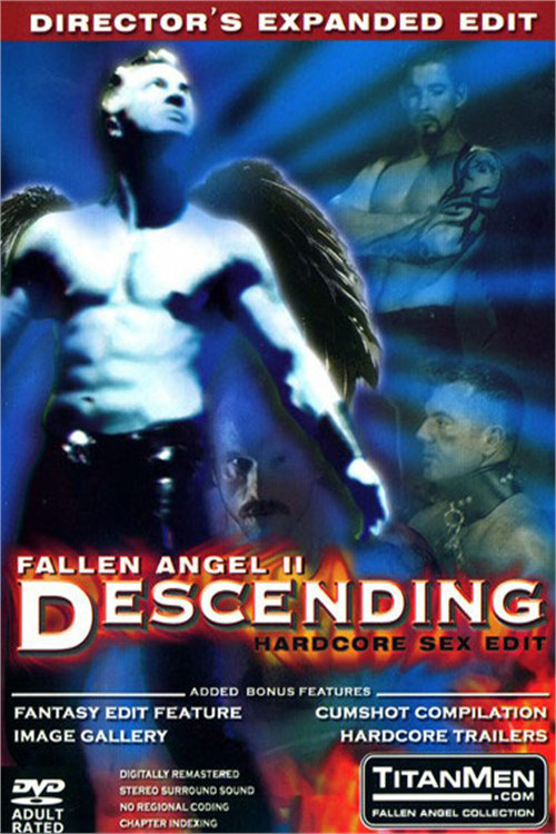 Fallen Angel 2: Descending (1998) poster