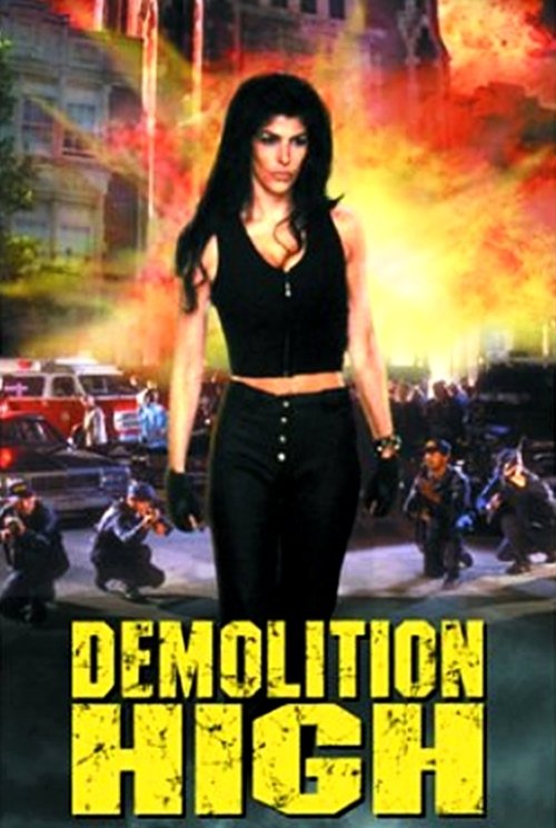 Demolition High (1996) poster