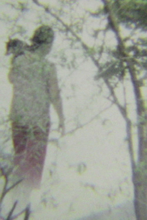 A Tale of Heaven (2011) poster