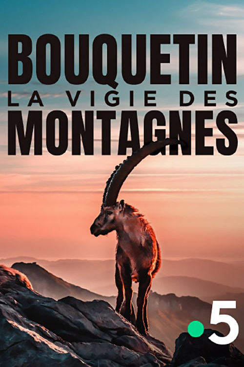 Bouquetin, la vigie des montagnes (2024) poster