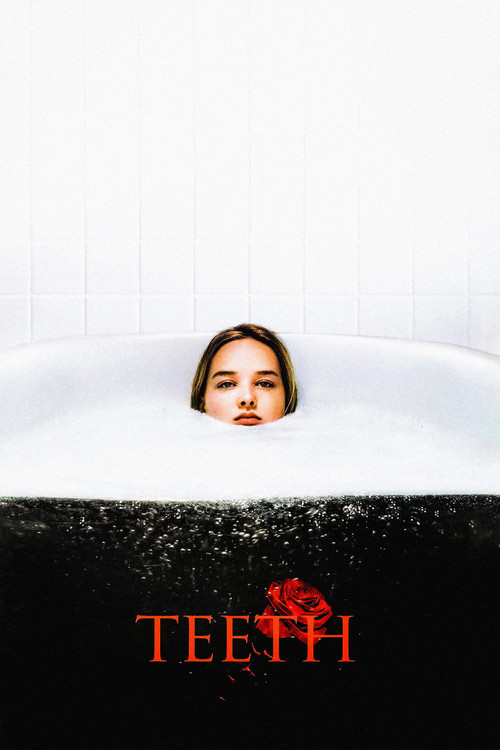 Diş (2008) poster