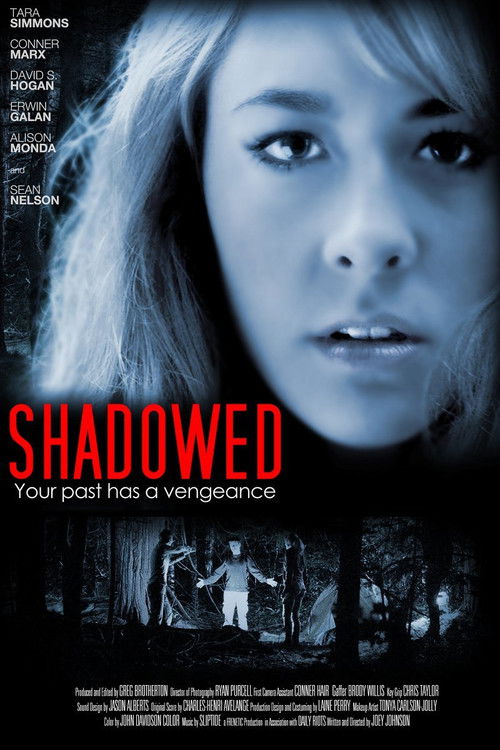 Shadowed (2013) poster