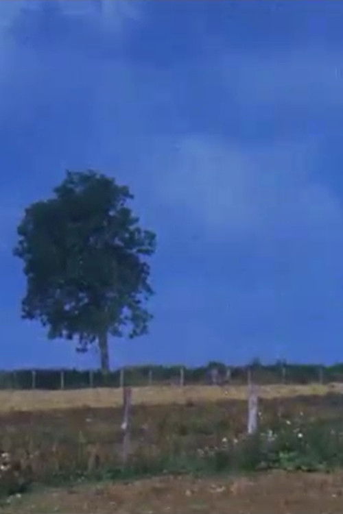 Dehors (1985) poster