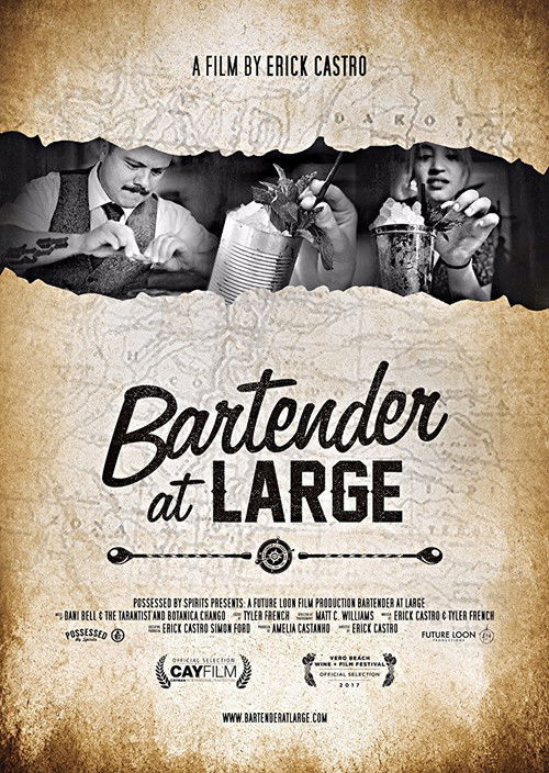 Bartender At Large (2017) poster