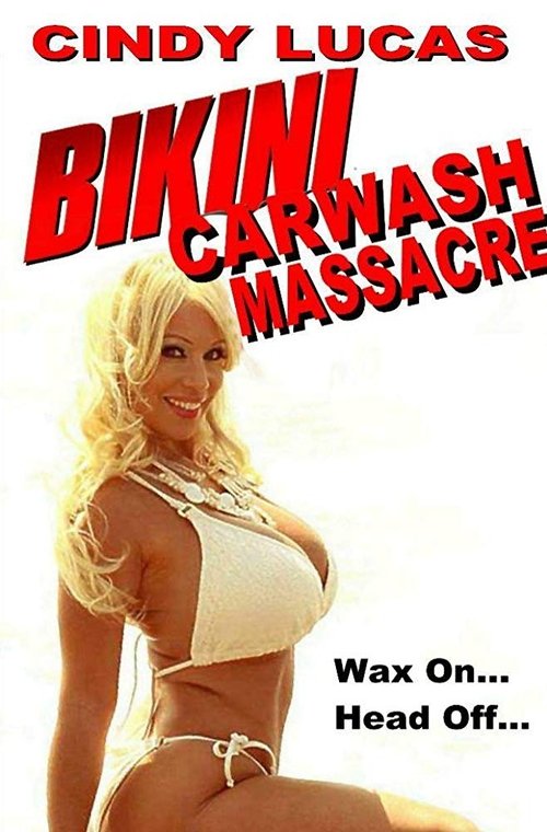 Bikini Car Wash Massacre (2017) poster