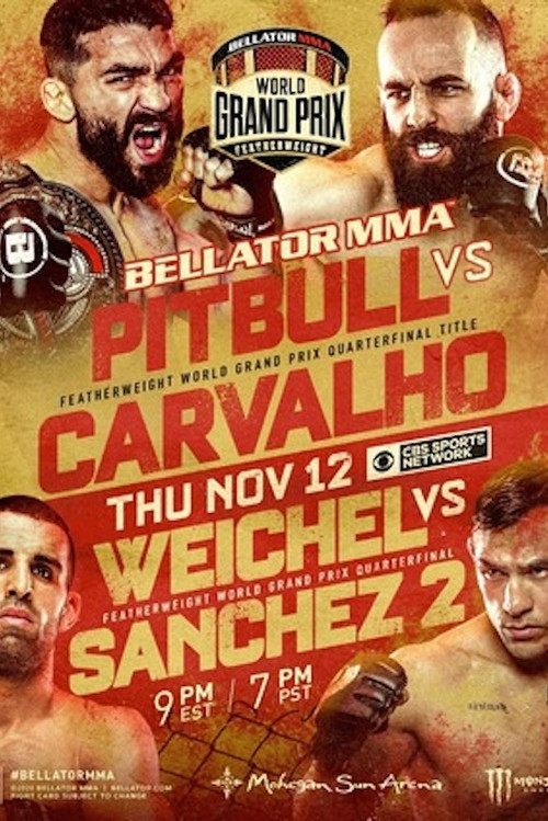 Bellator 252: Pitbull vs. Carvalho (2020) poster