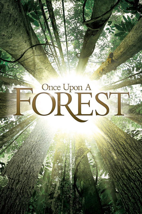 Once Upon a Forest (2013) poster