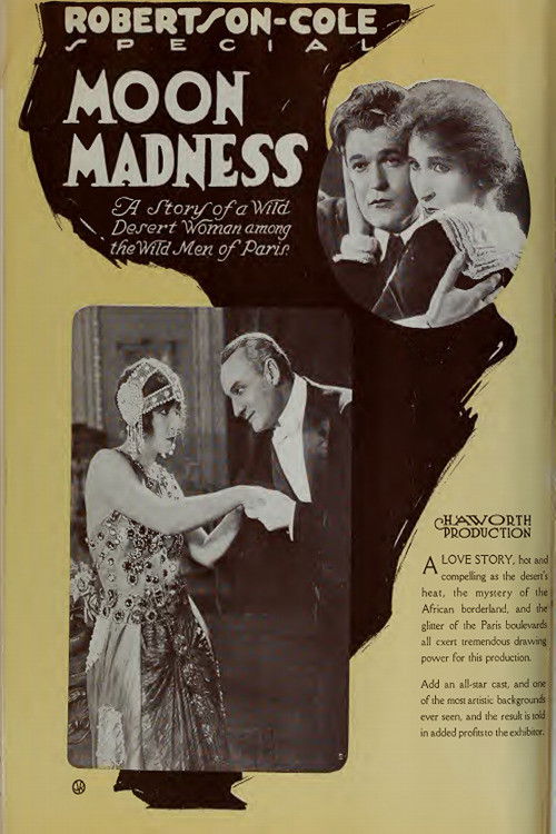 Moon Madness (1920) poster