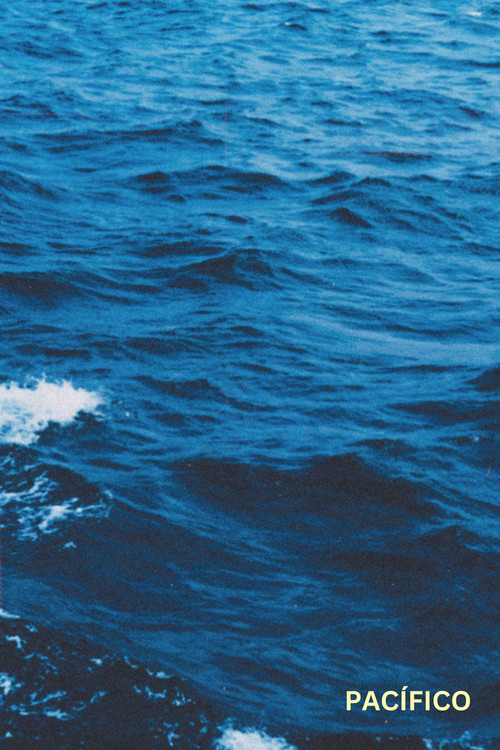 Pacific (2024) poster