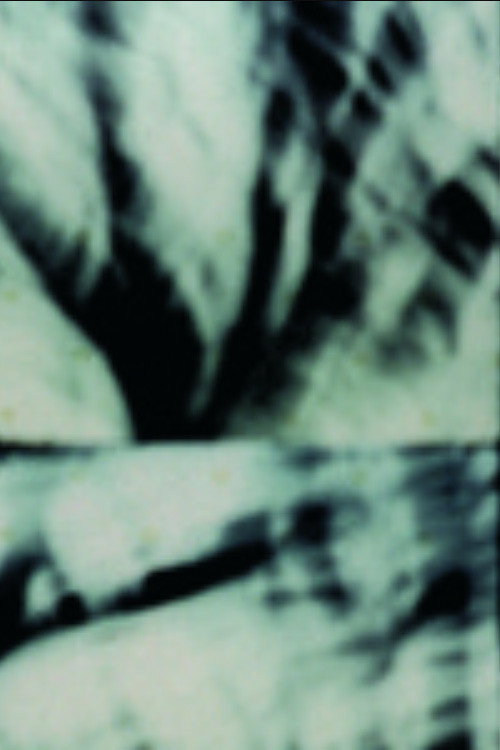 Étude pour arbre seul (1999) poster