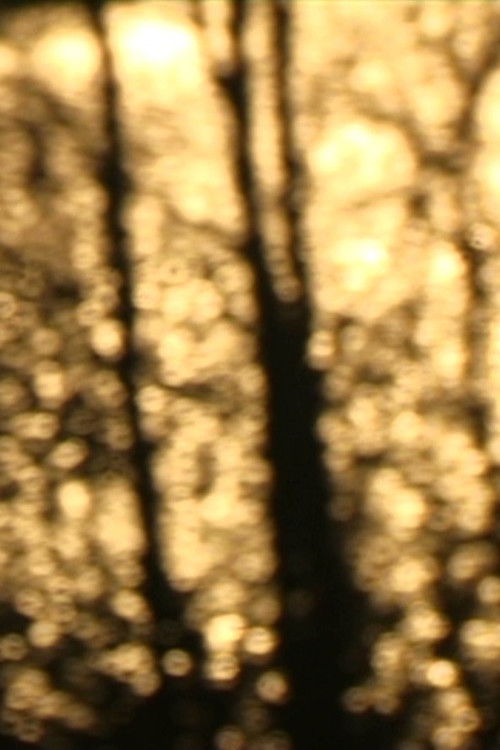 En traversée (2025) poster