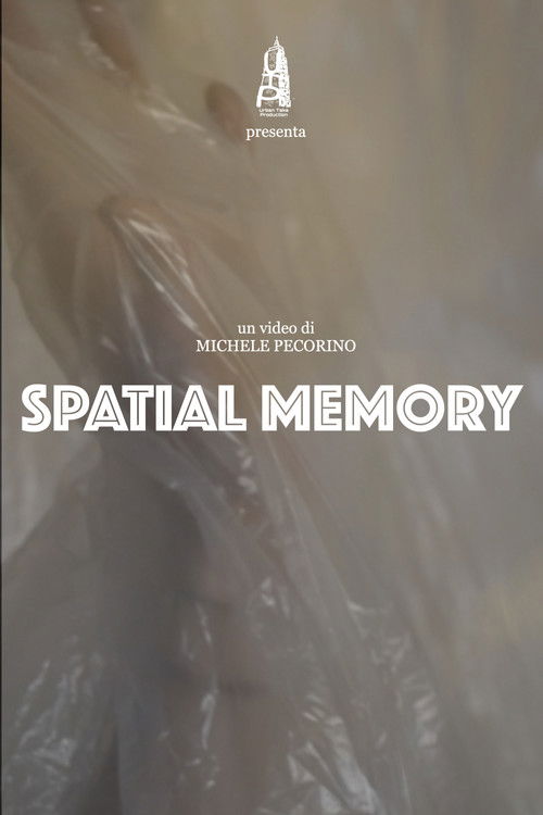 Spatial Memory (2022) poster