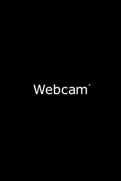 Webcam (2012) poster