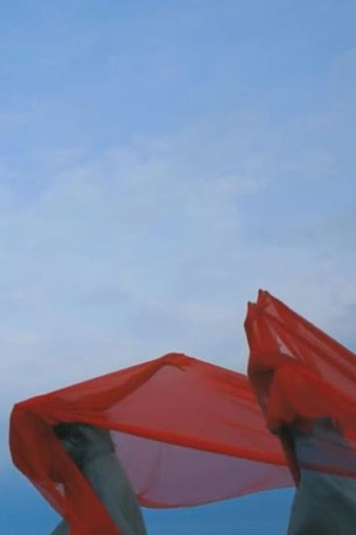 Carrying Place (2017) poster