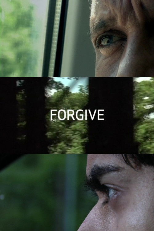 Forgive (2008) poster