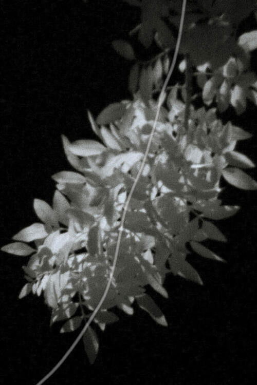 The Eyes of Summer (2020) poster