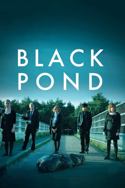 Black Pond (2011) poster