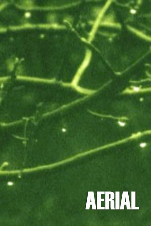 Aerial (1974) poster