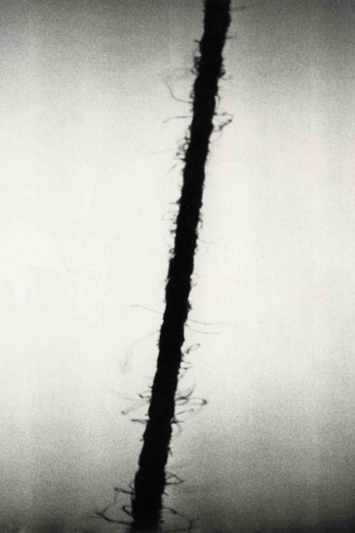 zzz: hamburg special (1968) poster